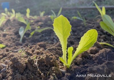 CSR: Meadville Technologies Organic Farm Days